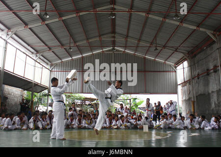 Bekasi Regency, Indonesia. 21st May, 2017. Dozens of Taekwondo collage