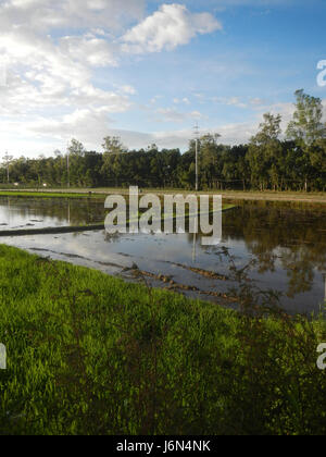 07198 Sunsets Paddy vegetable fields Upig Bagong Barrio San Ildefonso Bulacan  04 Stock Photo