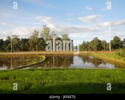 07198 Sunsets Paddy vegetable fields Upig Bagong Barrio San Ildefonso Bulacan  10 Stock Photo