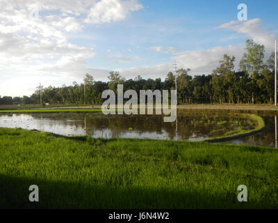 07198 Sunsets Paddy vegetable fields Upig Bagong Barrio San Ildefonso Bulacan  12 Stock Photo