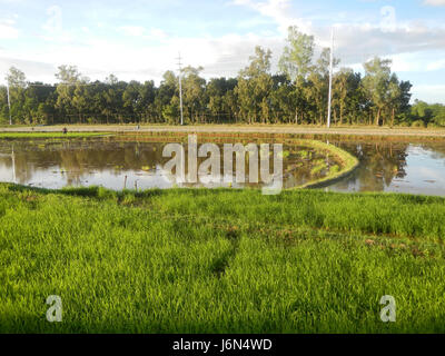 07198 Sunsets Paddy vegetable fields Upig Bagong Barrio San Ildefonso Bulacan  13 Stock Photo