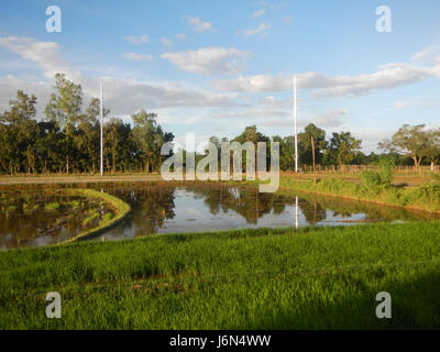 07198 Sunsets Paddy vegetable fields Upig Bagong Barrio San Ildefonso Bulacan  14 Stock Photo