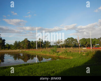 07198 Sunsets Paddy vegetable fields Upig Bagong Barrio San Ildefonso Bulacan  15 Stock Photo