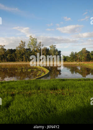 07198 Sunsets Paddy vegetable fields Upig Bagong Barrio San Ildefonso Bulacan  17 Stock Photo