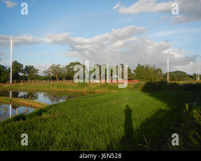 07198 Sunsets Paddy vegetable fields Upig Bagong Barrio San Ildefonso Bulacan  25 Stock Photo