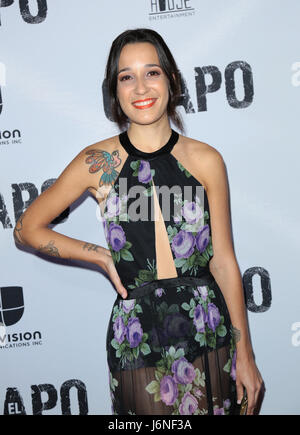 'El Chapo' Premiere at Landmark Theatre in Los Angeles  Featuring: Silvana Aguirre Where: Los Angeles, California, United States When: 19 Apr 2017 Credit: Guillermo Proano/WENN.com Stock Photo