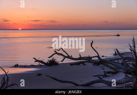 The sun peeks over the horizon on a colorful, quiet morning at Boneyard Beach in Big Talbot Island State Park in Northeast Florida. (USA) Stock Photo