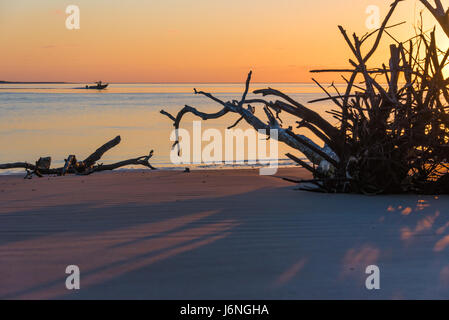 A colorful sunrise at Boneyard Beach on Big Talbot Island in Northeast Florida. (USA) Stock Photo