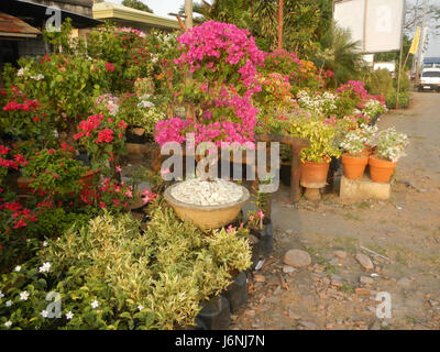 07822 Garden City Santa Cruz Guiguinto, Bulacan  18 Stock Photo