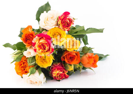 Bouquet of Multicolored Roses Isolated on White Background. Stock Photo