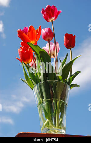 red tulips in a vase of flowers Stock Photo
