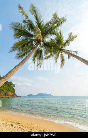Palm trees on beautiful tropical beach on Koh Chang island in Thailand Stock Photo