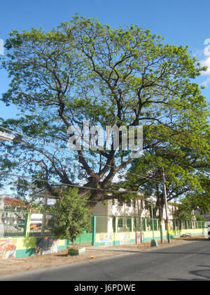 09232 Luis M. Taruc Freedom Park Museum High School San Luis Pampanga  38 Stock Photo