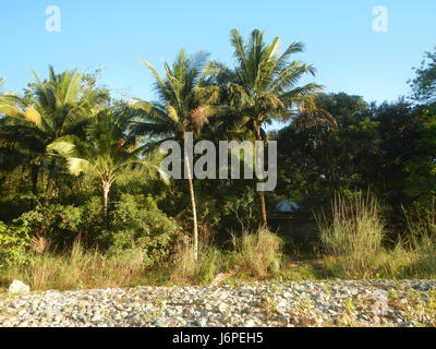 0774 Akle Bridge River Resorts San Ildefonso, Bulacan  21 Stock Photo