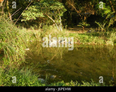 0774 Akle Bridge River Resorts San Ildefonso, Bulacan  31 Stock Photo