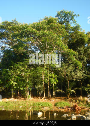 0774 Akle Bridge River Resorts San Ildefonso, Bulacan  40 Stock Photo