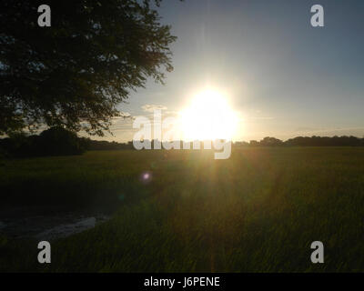 08209 Paddy fields villages Pulong Palazan Candaba Pampanga Farm to Market Road  03 Stock Photo