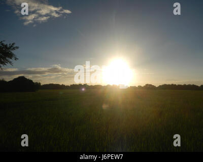 08209 Paddy fields villages Pulong Palazan Candaba Pampanga Farm to Market Road  09 Stock Photo