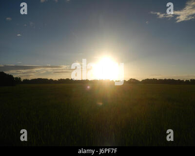 08209 Paddy fields villages Pulong Palazan Candaba Pampanga Farm to Market Road  20 Stock Photo