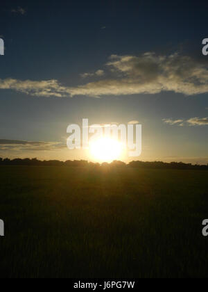 08297 Paddy fields villages Pulong Palazan Candaba Pampanga Farm to ...