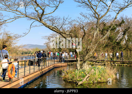 Ecoland Theme Park in Jeju island, South Korea Stock Photo
