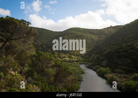 A beautiful natural river between the Italian mountains. River flowing into a beautiful beach in Sardinia. Stock Photo