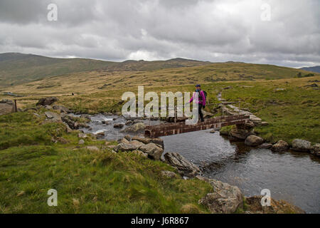 Lone female walker crossing a small bridge on a path towards the lower Southern slopes of Glider Fach in the Snowdonia National Park, North Wales. Stock Photo