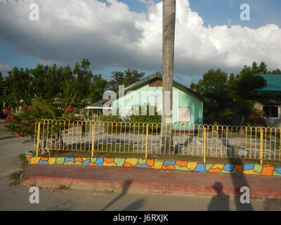 08163 Pulilan Central School Champagne palm  10 Stock Photo