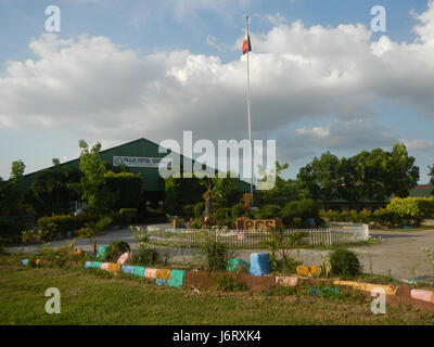 08163 Pulilan Central School Champagne palm  17 Stock Photo