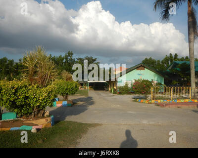 08163 Pulilan Central School Champagne palm  20 Stock Photo