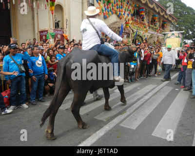 08263 San Isidro Labrador Parish Fiesta Pulilan Bulacan Carabao Kneeling Festival 2017  41 Stock Photo