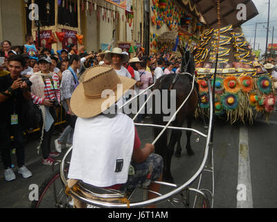 08263 San Isidro Labrador Parish Fiesta Pulilan Bulacan Carabao Kneeling Festival 2017  47 Stock Photo