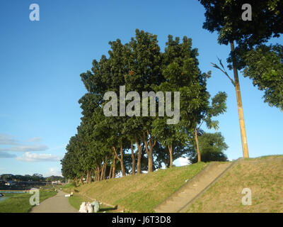 0894 Marikina River Park Banks Barangka Landmarks Calumpang  14 Stock Photo