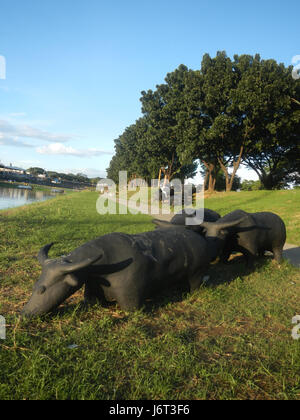 0939 Marikina River Park Carabaos statues  12 Stock Photo