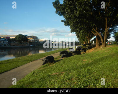 0939 Marikina River Park Carabaos statues  18 Stock Photo