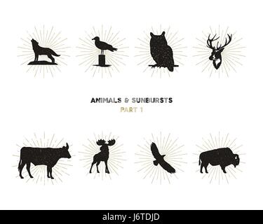 Set of wild animal figures and shapes with sunbursts isolated on white background. Black silhouettes wolf, deer, moose, bison, eagle, seagull, cow, and owl. Use as icons or in logo designs. Vector Stock Vector