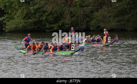 Leeds, UK. 21st May, 2017. Local teams competing in the annual Dragon Boat race and Tug of War competition at Roundhay Park in Leeds on 21 May 2017. The event is organised to raise money for Martin House, which is a hospice dedicated to supporting children and their families. Credit: James Copeland/Alamy Live News Stock Photo