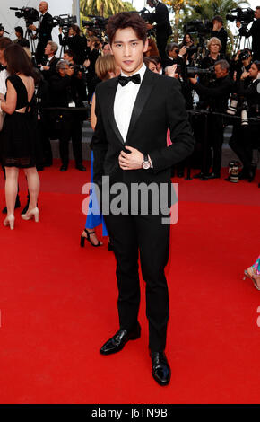 Cannes, France. 21st May, 2017. Jing Boran arrives at the premiere of 'The Meyerowitz Stories' during the 70th Annual Cannes Film Festival at Palais des Festivals in Cannes, France, on 21 May 2017. Photo: Hubert Boesl - NO WIRE SERVICE - Photo: Hubert Boesl//dpa/Alamy Live News Stock Photo