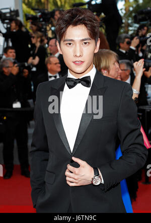 Cannes, France. 21st May, 2017. Jing Boran arrives at the premiere of 'The Meyerowitz Stories' during the 70th Annual Cannes Film Festival at Palais des Festivals in Cannes, France, on 21 May 2017. Photo: Hubert Boesl - NO WIRE SERVICE - Photo: Hubert Boesl//dpa/Alamy Live News Stock Photo