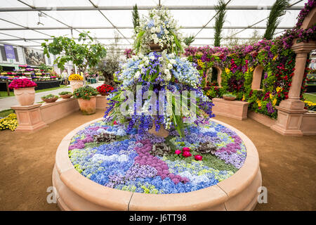 London, UK. 22nd May, 2017. RHS Chelsea Flower Show © Guy Corbishley/Alamy Live News Stock Photo