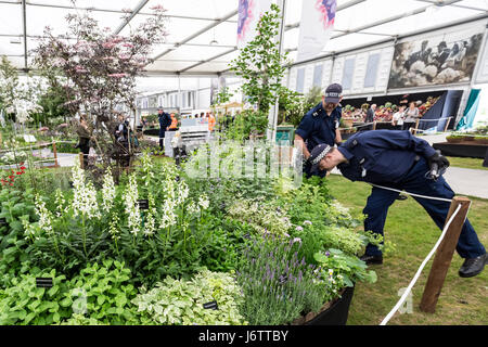 London, UK. 22nd May, 2017. Police officers inspect a herb garden on display inside The Great Pavilion. RHS Chelsea Flower Show © Guy Corbishley/Alamy Live News Stock Photo
