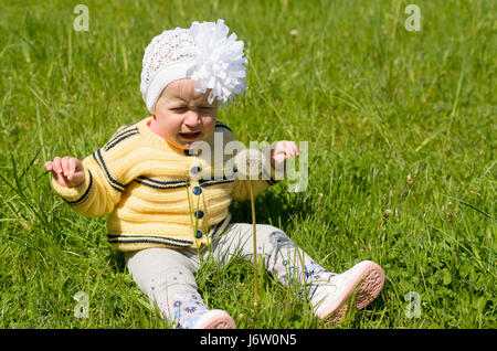 A little girl is sitting on the green grass with a fluffy dandelion. Stock Photo