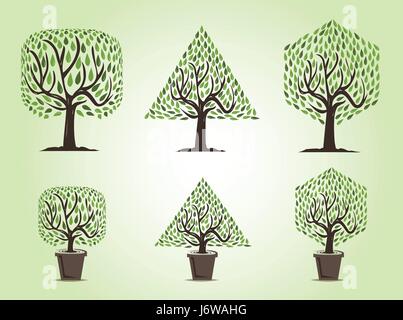 Set of tree with two types of trees : garden trees and decorative trees , rounded square tree, triangle tree, hexagon tree with green leaves Stock Vector