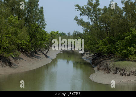 The Sundarbans, a UNESCO World Heritage Site and a wildlife sanctuary. The largest littoral mangrove forest in the world. Satkhira, Bangladesh Stock Photo