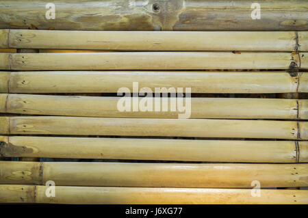 Bamboo texture Stock Photo