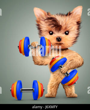 Funny dog training with dumbbell in sport gym Stock Photo