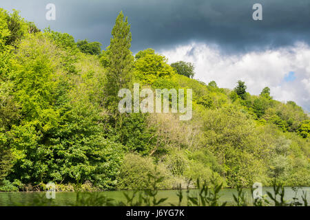 Storm clouds approaching over woodland on a previously bright sunny day. Stock Photo