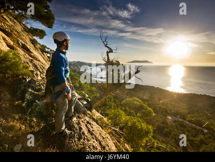rock climber standing near tree looking on sunrise Stock Photo