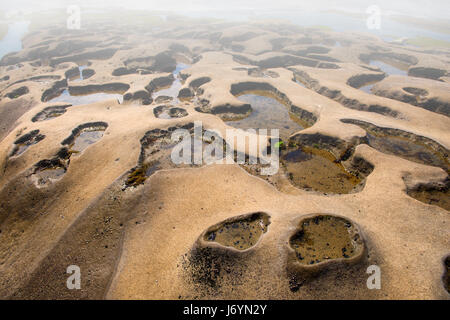 Close-up of tide pools on La Jolla Beach, California, United States Stock Photo
