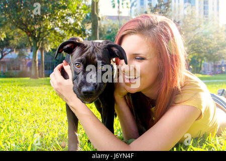 Woman lying in park playing with Staffordshire terrier Puppy, Saint Petersburg, Florida, United States Stock Photo